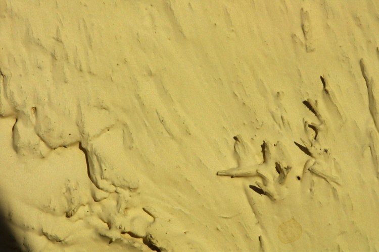Otra manera moderna es pintar las paredes en colores neutros.