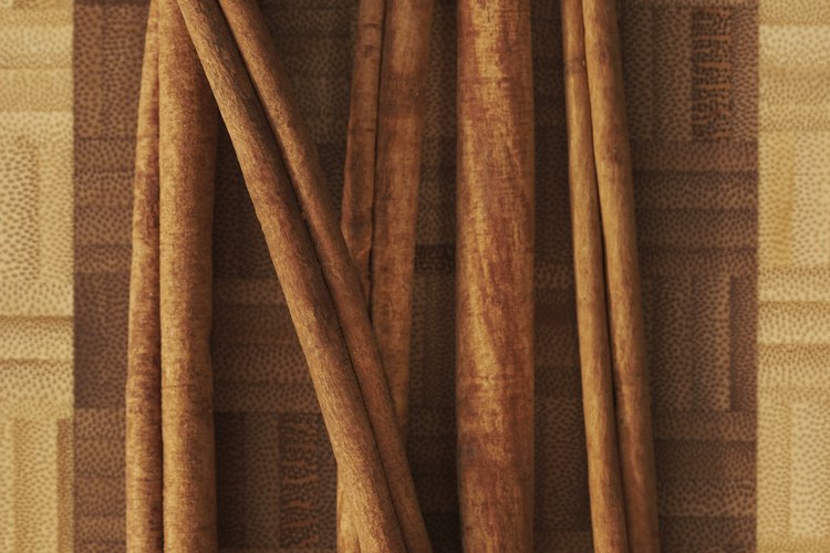 El árbol de canela está relacionado con la planta de canela culinaria.