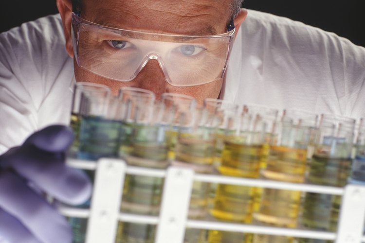 Laboratorio.
