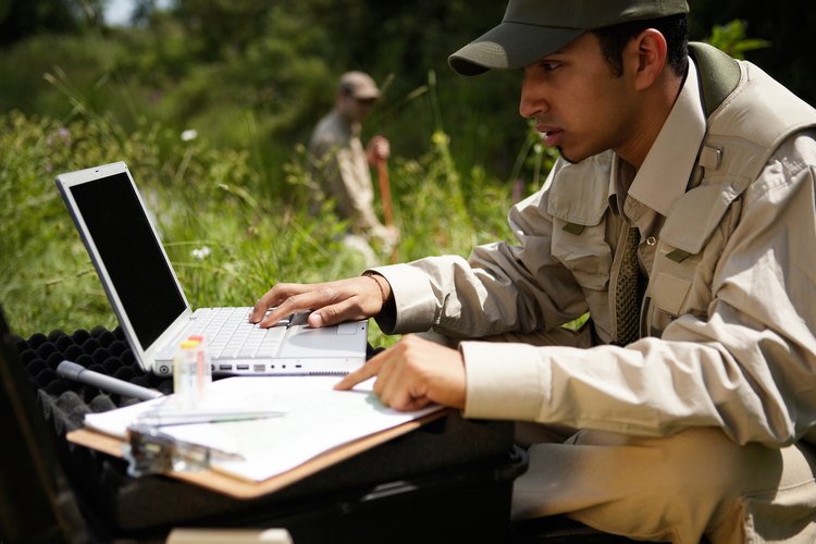 Los mejores zoólogos se involucran en el trabajo de campo.