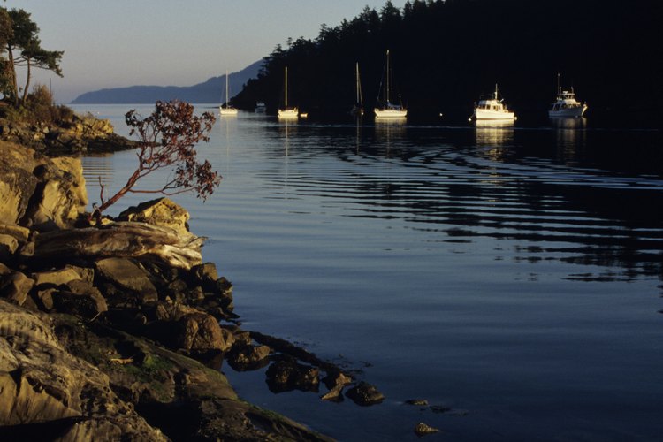 Las San Juan Islands de Washington son un favorito entre los kayakistas de mar.