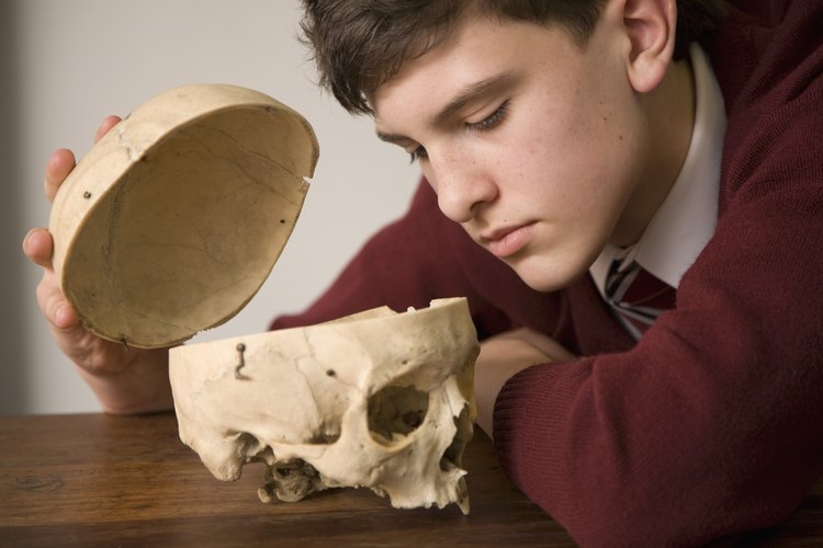 Los adolescentes usualmente prefieren el aprendizaje práctico.