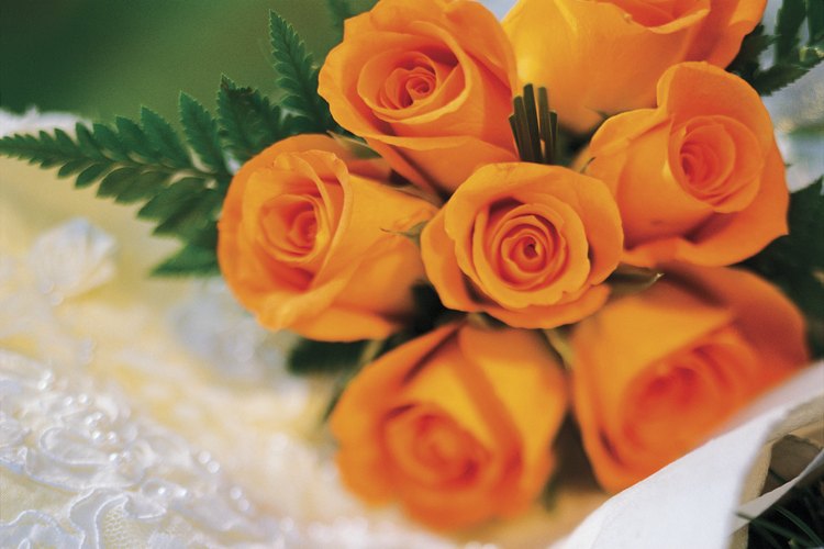 La mayoría de las rosas son originarias de Asia.