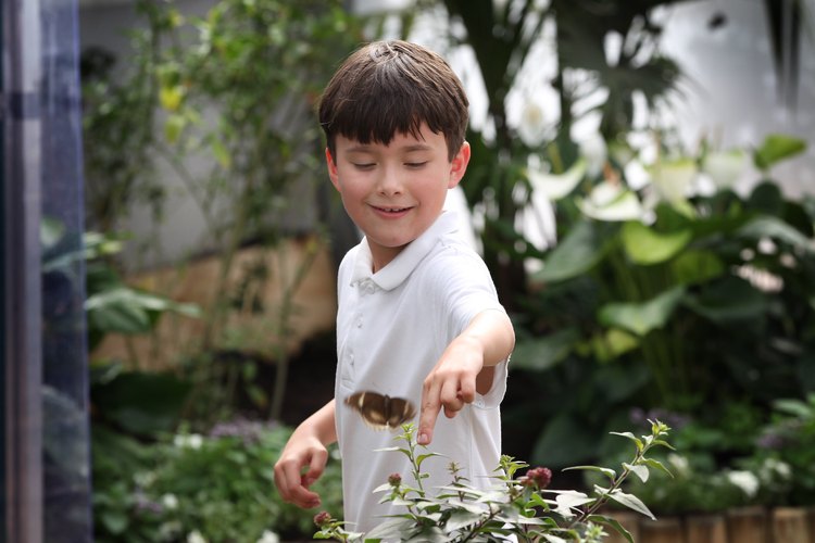 Si tu hijo de 10 años adora la naturaleza, haz la fiesta de cumpleaños afuera.