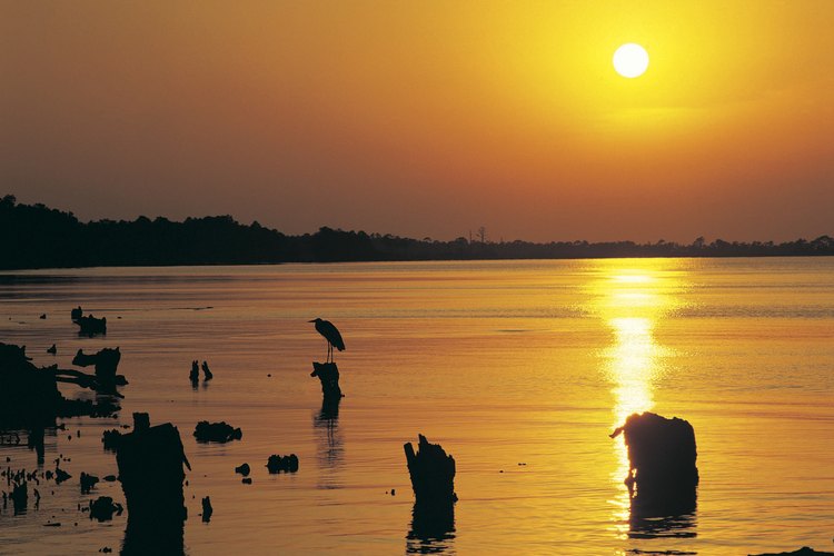 La puesta del sol brilla en el agua de la costa del Golfo de Alabama.