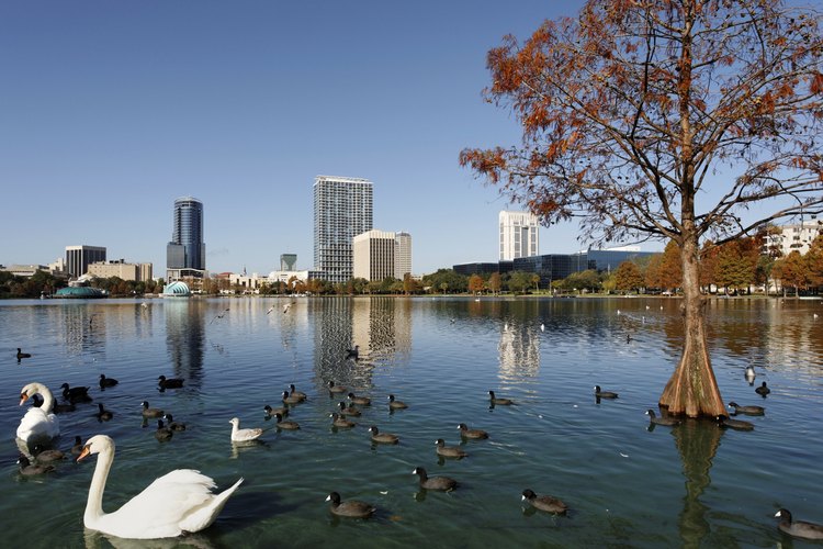 Orlando es un destino de diversión para familias y parejas por igual.
