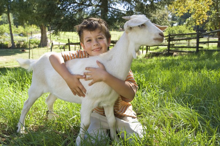 Visitar a una granja puede ayudar a los niños a hacer conexiones con sus comunidades.