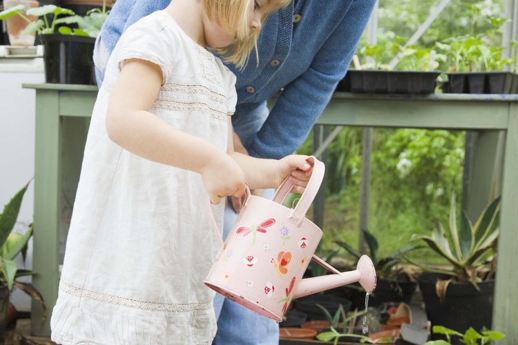 Mantente cerca de tu hijo para ayudarlo a guiarse en el proceso de plantar.