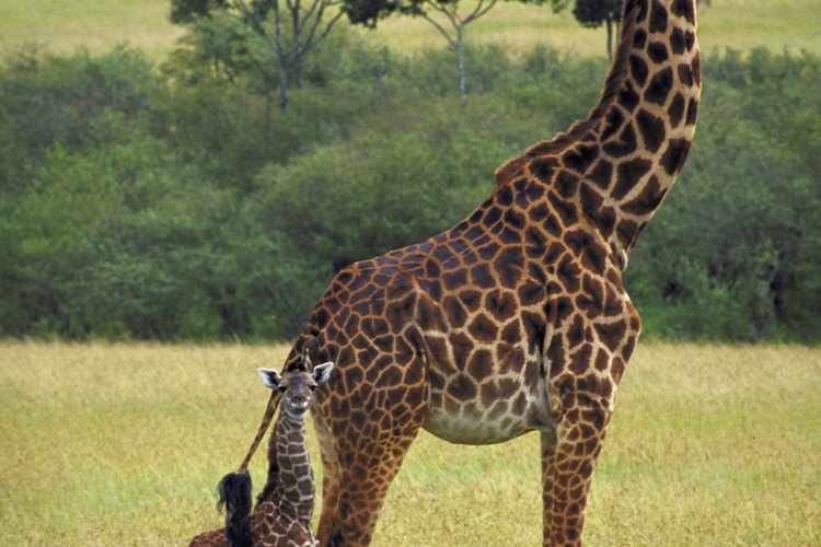 El zoo de Detroit es una opción interesante.