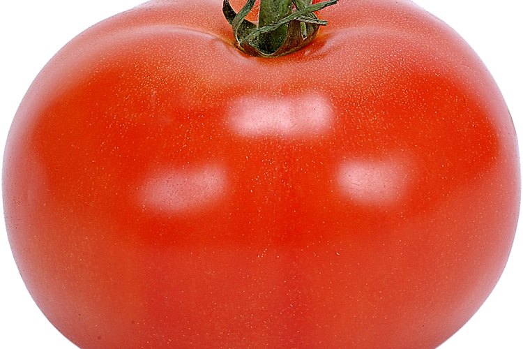 Los tomates cosechados en casa son a menudo más sabrosos que los comprados en la tienda.