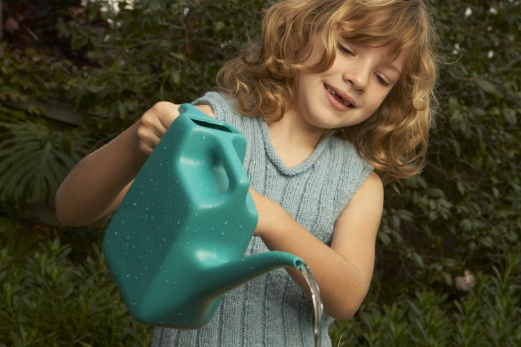 Las palomas y otras aves apreciarán las fuentes de agua en tu jardín.