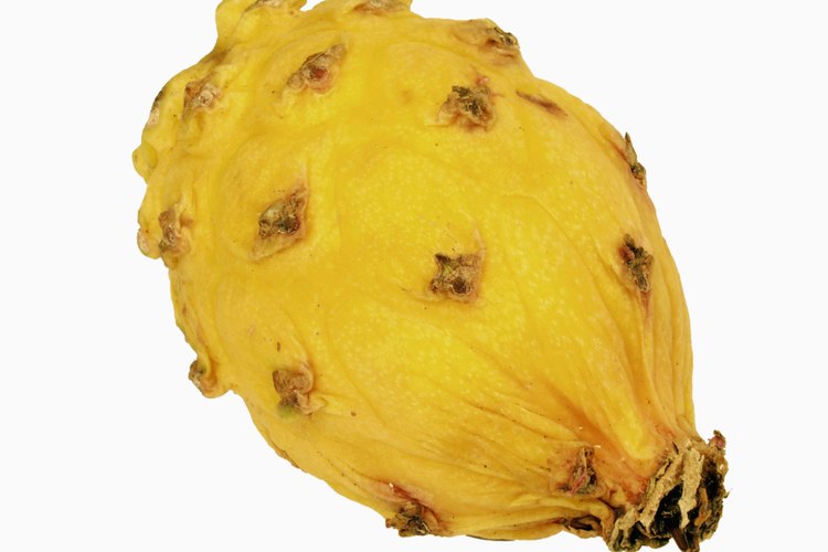 El pitayo también se llama "pitaya".