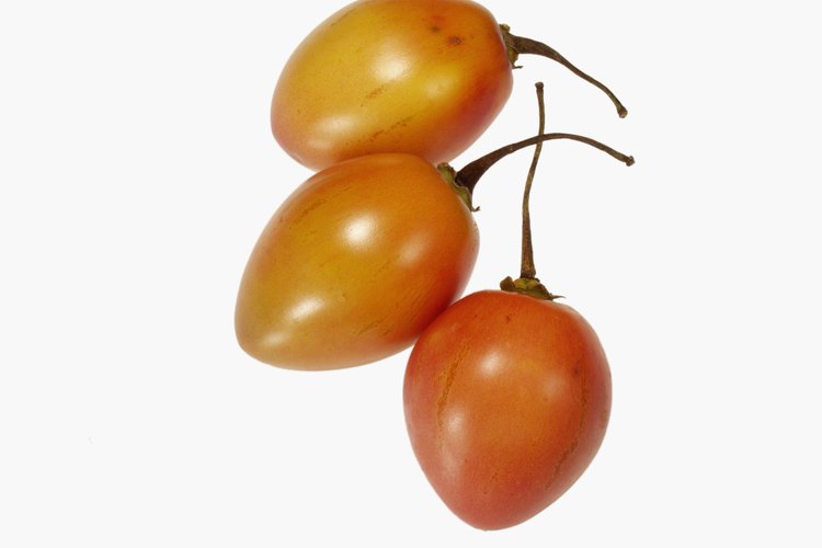 Los tamarillos son parientes de los tomates, las patatas, las berenjenas y los pimientos.