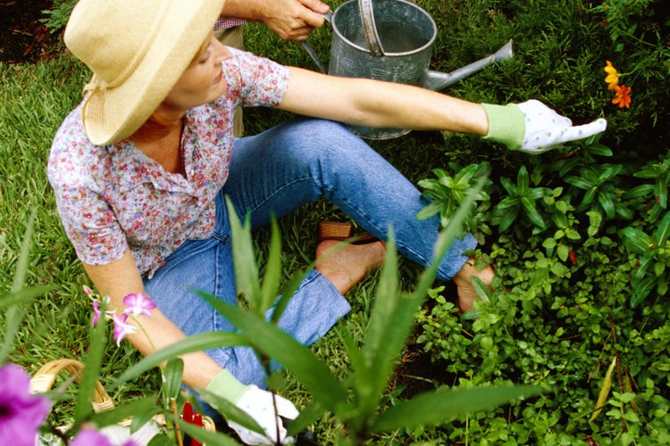 Aprende qué flores plantar y cuándo para disfrutar tu jardín durante todo el año.