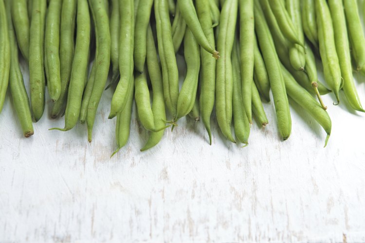 Las judías verdes son una gran manera de ayudar a tu bebé a la transición a los vegetales verdes.