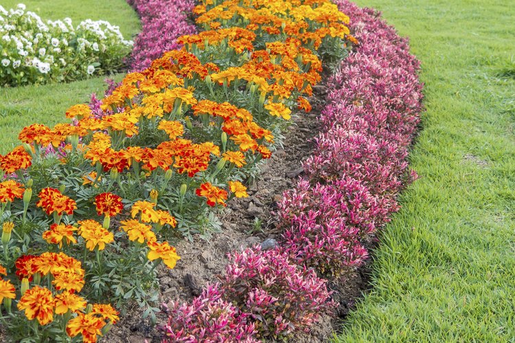 Patio en jardín de exposición