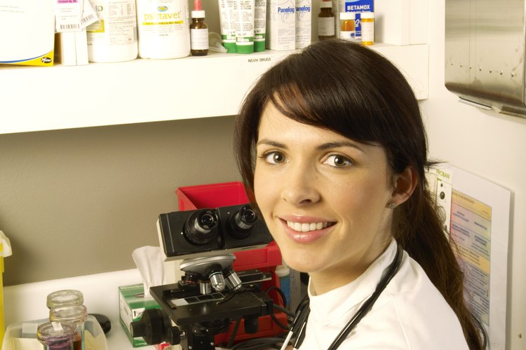 Los veterinarios utilizan varios tipos de tecnología.