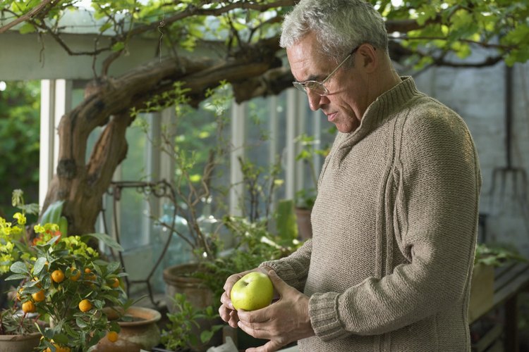 Preparar a la antigua jalea de manzana con manzanas frescas o jugo con manzanas procesadas.