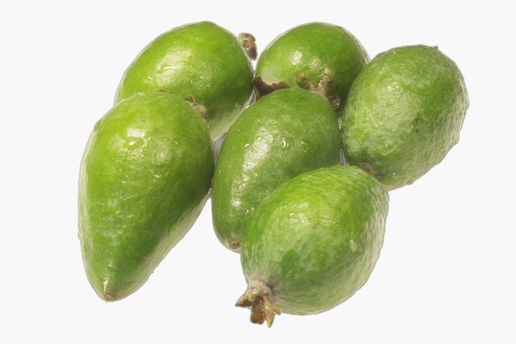 Las feijoas son una fruta de otoño.