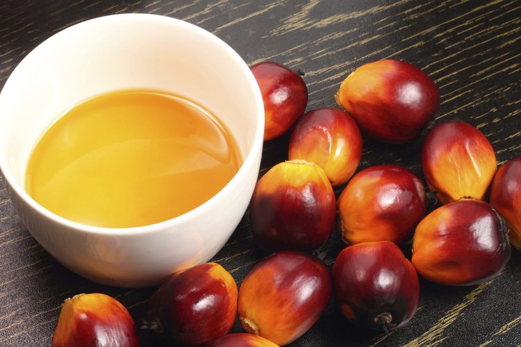 Fruto de palma y aceite.