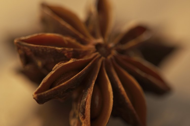 El anís estrellado es el nombre del fruto porque tiene la forma de estrella.