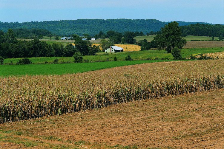 El Rough River Lake en Kentucky, está rodeado de ondulantes campos de cultivo.