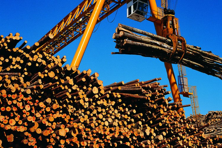 La madera es uno de los recursos explotados en Nueva Inglaterra (Noreste).