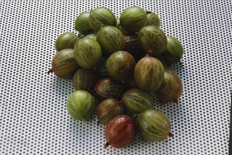 Utiliza amla en polvo para engrosar y dar salud a tu cabello.