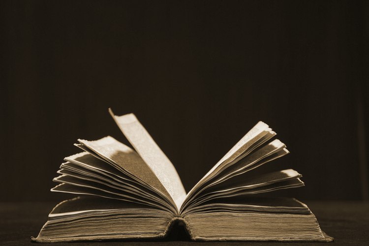 Los niños amantes de insectos probablemente disfrutan de los libros con fotografías reales de una gran variedad de insectos.