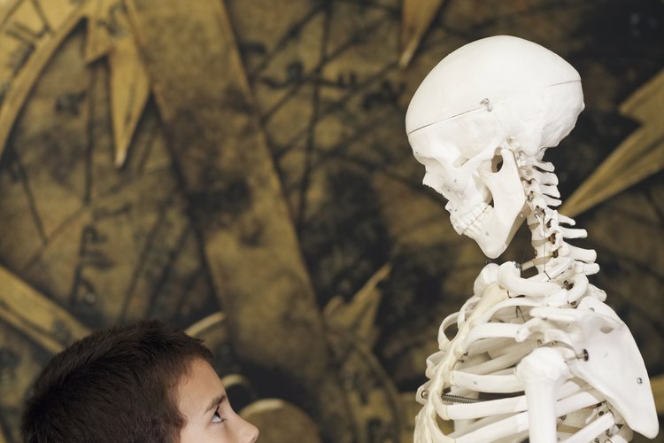 Los museos complementan el aprendizaje infantil.