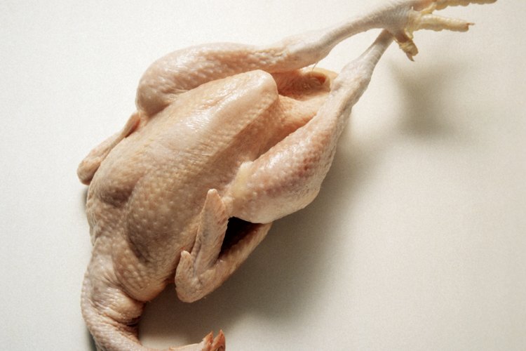 Escaldar los pollos antes del eviscerado facilita la tarea de quitarles las plumas.