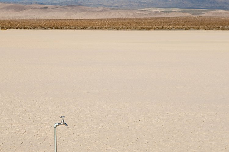 Varios de los tratados mexicanos buscan combatir el cambio climático.