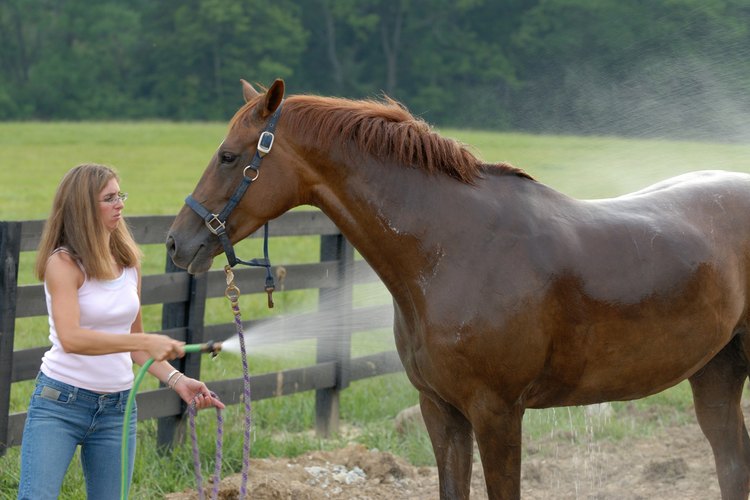 El lavado de la manta de la silla de montar con un nuevo detergente es una posible causa, como lo es el uso de un nuevo champú u otro producto de baño utilizado en el caballo.