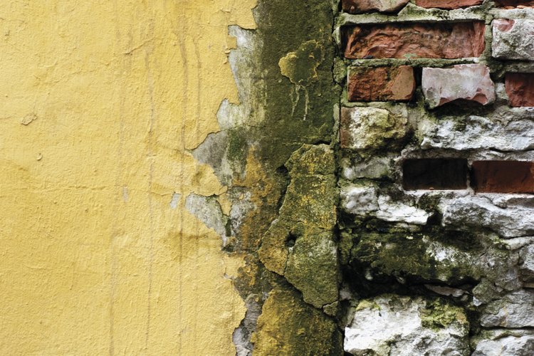 La humedad y los problemas subyacentes de la construcción contribuyen a la eflorescencia.