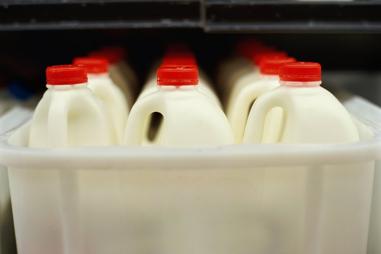 Evita alimentar a tu gatito con leche de vaca o fórmula láctea para bebés humanos.
