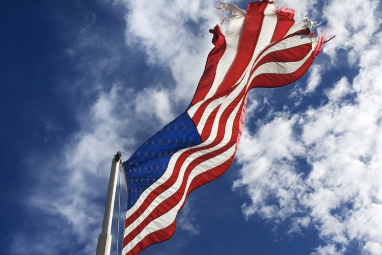 Las estructuras sociales de Estados Unidos se desarrollan y cambian según el lenguaje, las normas y los valores comunes.