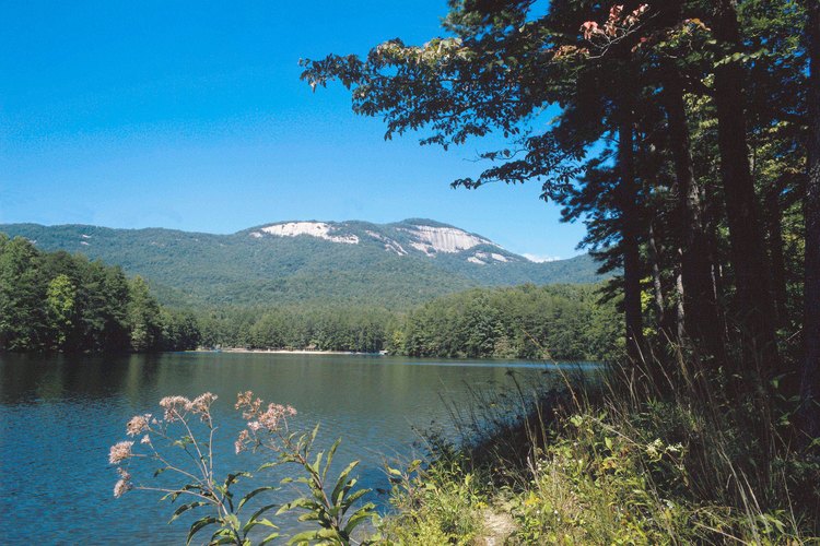 Las Blue Ridge Mountains ofrecen un pintoresco escenario para camping primitivo en Georgia.