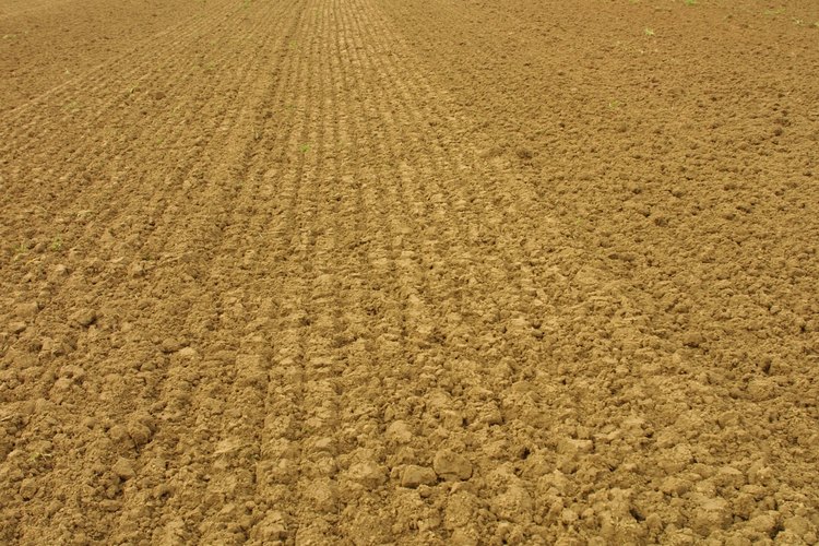 La cal agrícola reduce la toxicidad de algunos elementos minerales