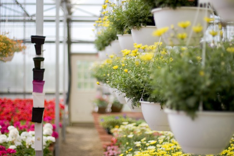 Un vivero de plantas tendrá herramientas de jardinería, depósitos de almacenamiento o cobertizos para herramientas y productos químicos y equipos de oficina.