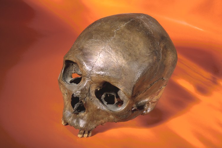 Los seres humanos modernos surgieron hace unos 200.000 años.
