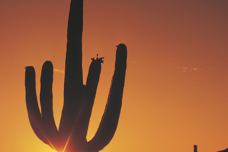Nuevo México y Baja California fueron anexados a Estados Unidos en 1847.