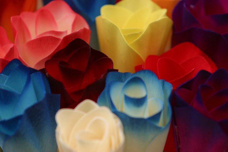Todas las plantas absorben tinte al ser colocadas en agua con colorante de alimentos.