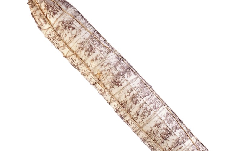 El salame es una variedad de carne curada.