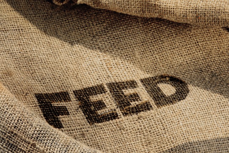 Una bolsa de alimento reciclada es un comedero de bolsa útil.