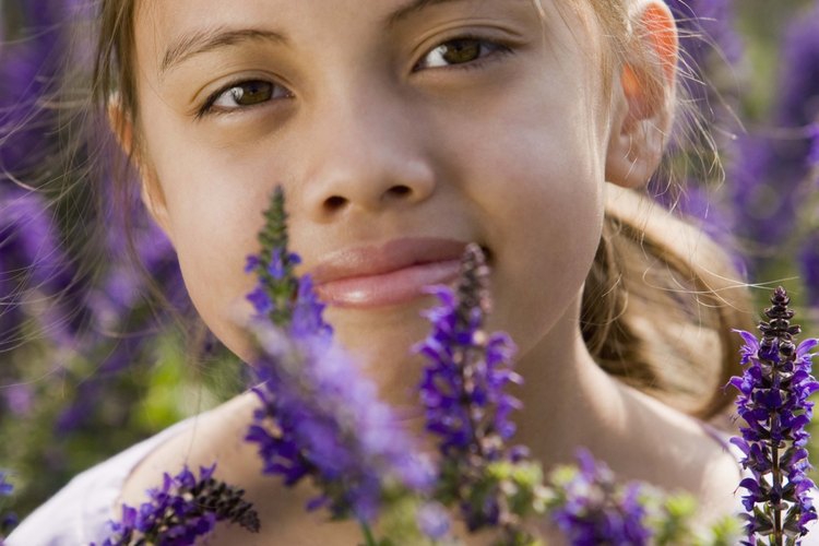 Usa flores de temporada para hacer guirnaldas y adornos para el cabello.