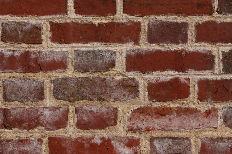 Pinta tu pared de ladrillos.