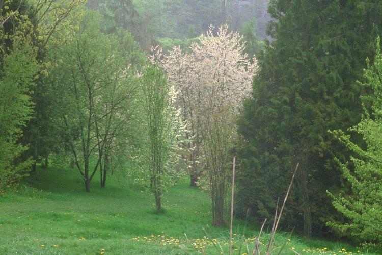 La riqueza natural de la tierra está abierta para tu descubrimiento.