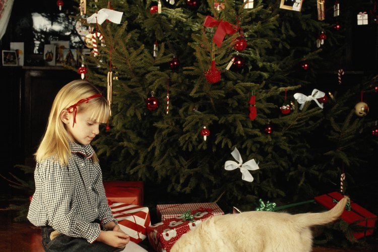 Guarda las bolsas de todo el año para hacer los regalos de Navidad para tu familia y amigos.