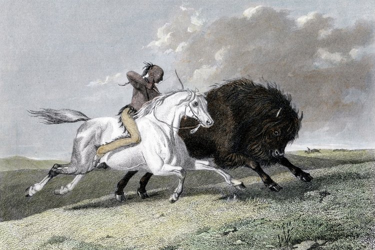 Los caballos cambiaron la forma en que los nativos americanos interactuaban con la naturaleza.