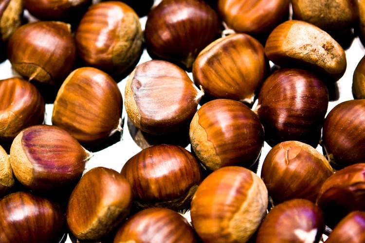 Calentar las castañas sin amontonarlas antes de molerlas hará que las cáscaras se desprendan mejor.